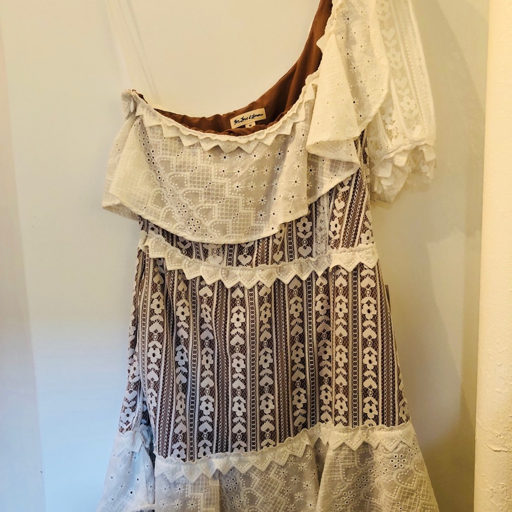For Love & Lemons Lovebird Lace Mini Dress